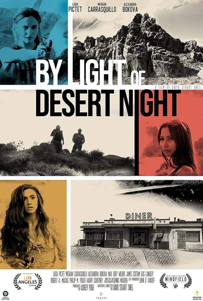 При свете пустынной ночи (2019) постер