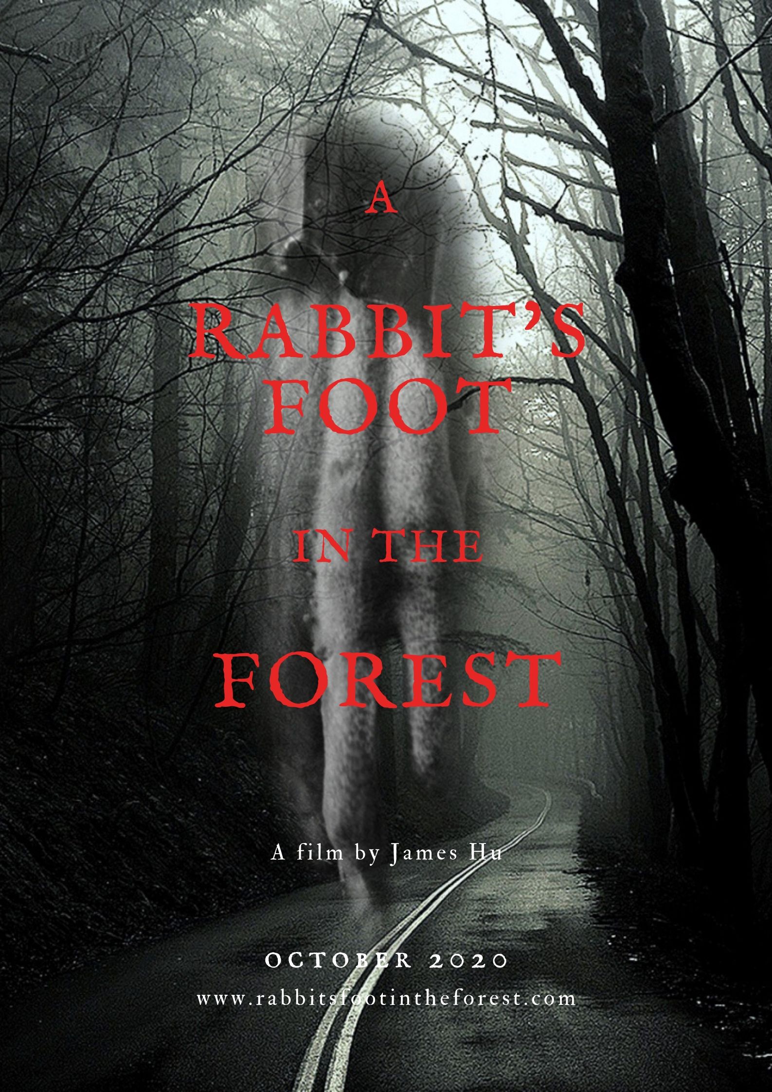 A Rabbit's Foot in the Forest (2020) постер