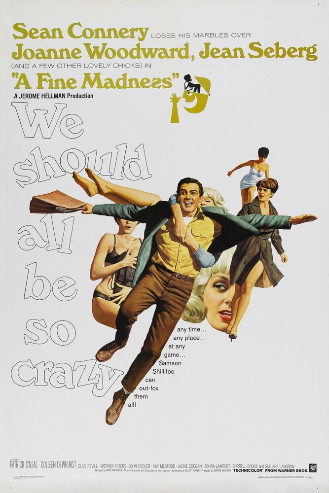 Прекрасное безумие (1966) постер