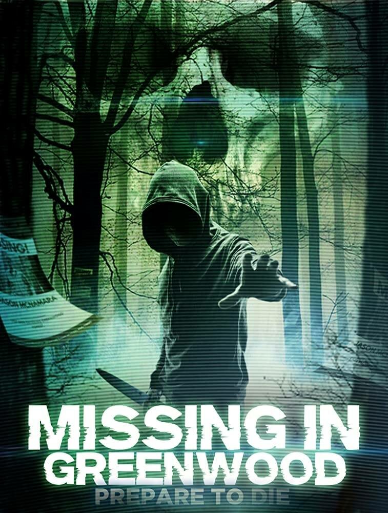 Missing in Greenwood (2017) постер