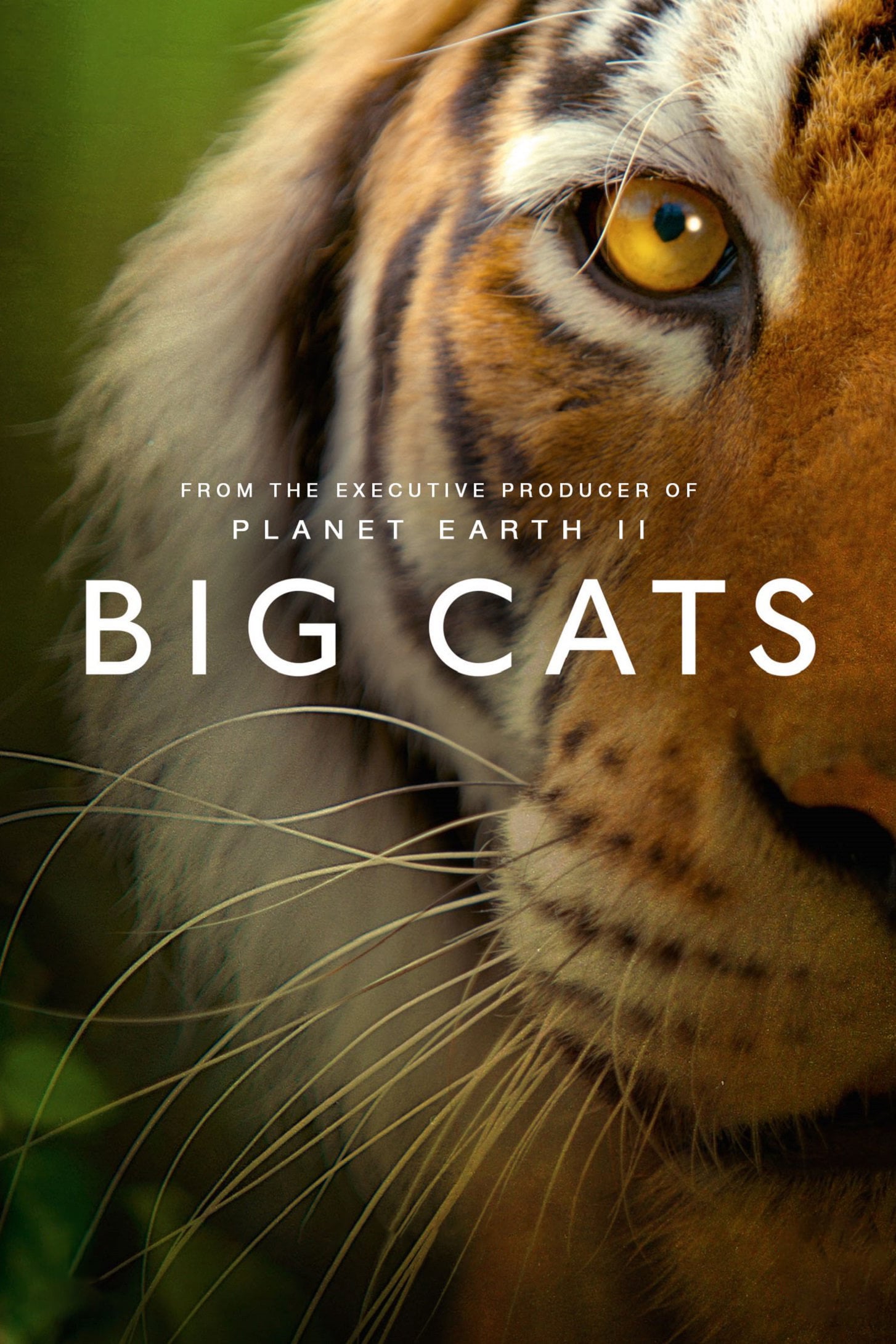 Big Cats (2018) постер
