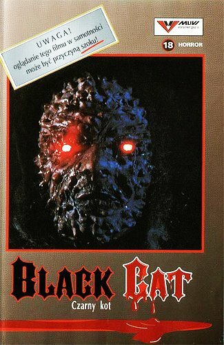 Чёрная кошка (1990) постер
